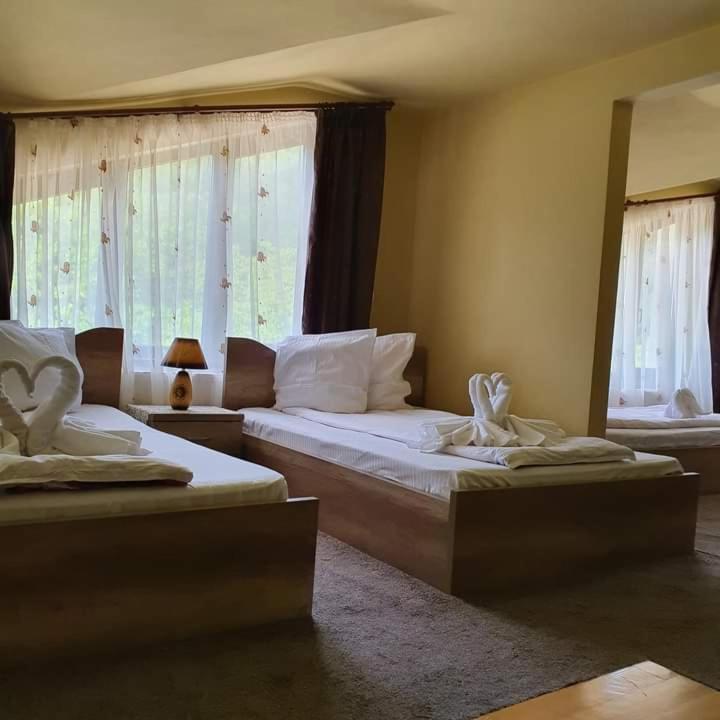 Pensiunea Mirela Pestera Ursilor Chiscau 外观 照片