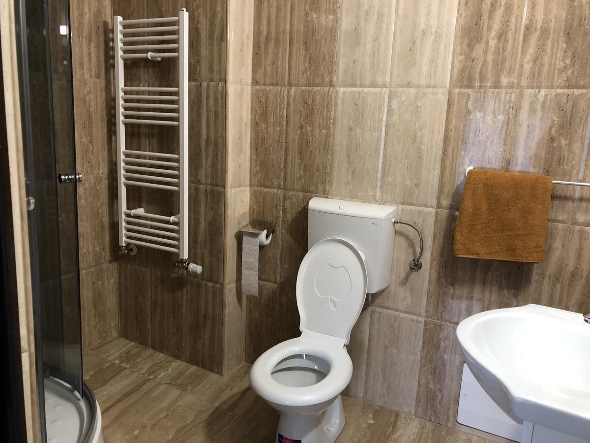 Pensiunea Mirela Pestera Ursilor Chiscau 外观 照片